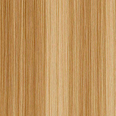Long Lasting Tape Extensions - #10/24