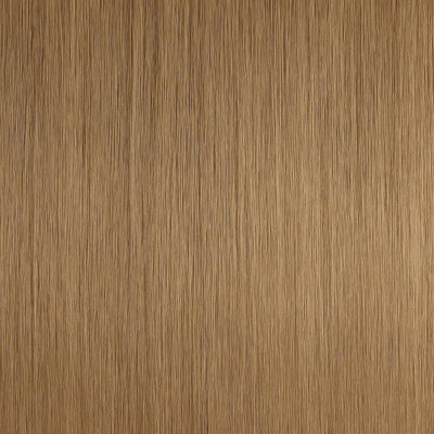 Long Lasting Tape Extensions - #10 Lysebrun