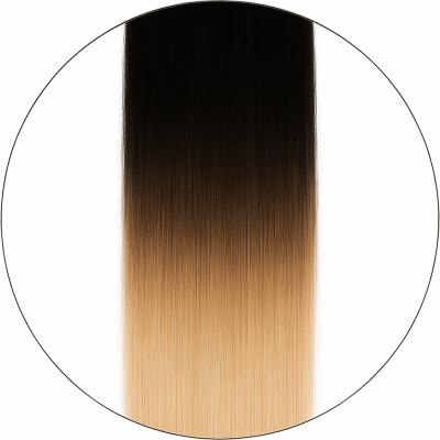 Balayage #1/6001, 50cm, 110g, Clip-on Extensions